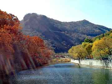 新澳天天开奖资料大全旅游团，黑客动画